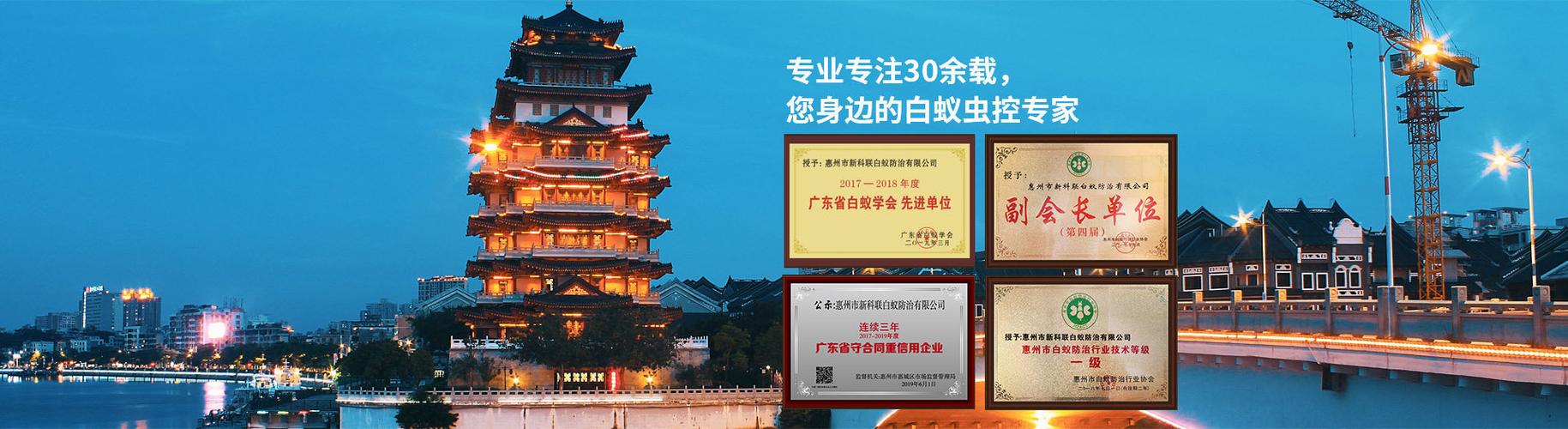 新科白蚁防治